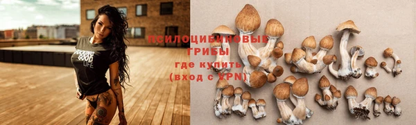 МДПВ Михайлов