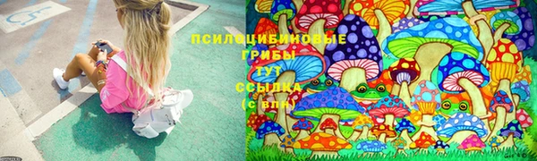 гидропоника Армянск